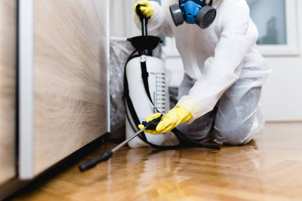 Best Flea Control Services  in Bay City, MI