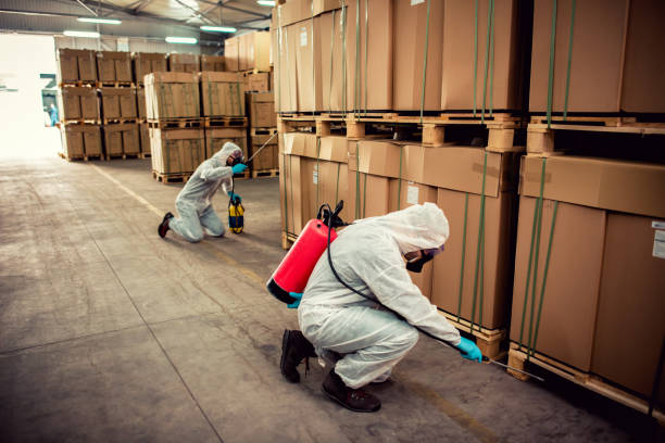 Best Pest Control for Homes  in Bay City, MI