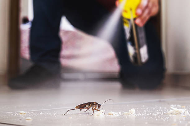 Trusted Bay City, MI Pest Control Experts